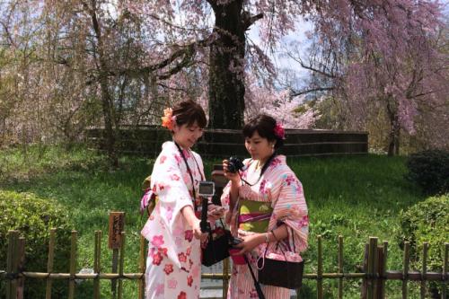 Japonsko plné mýtov a rozkvitnutých sakúr