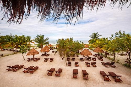 Slnečníky a ležadlá