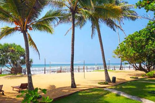 Areál hotela pri pláži