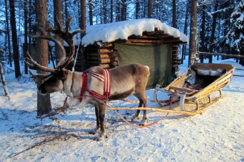 Laponsko - trip za polárnou žiarou, poznávací zájazd
