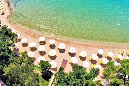 Hotel Royal Paradise Beach Resort & Spa