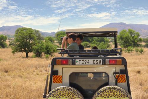 safari v tanzánii, jeep zebry, levy, žirafy