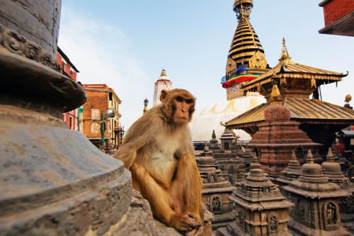 Nepál - cesta na "strechu sveta"