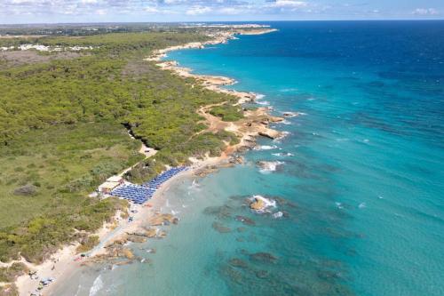 VOI Daniela Essentia