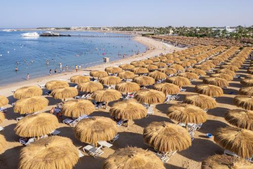 plaž