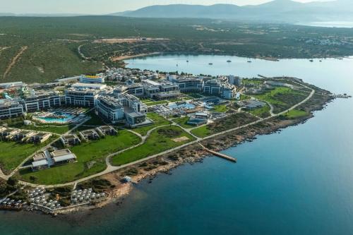 Anda Barut Collection