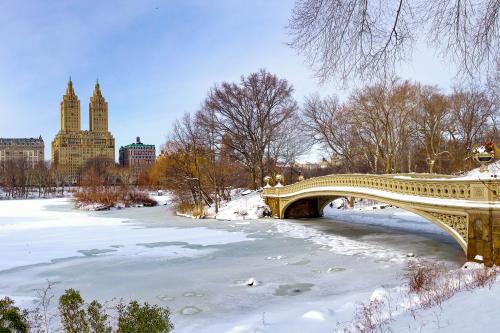 Silvester v New Yorku