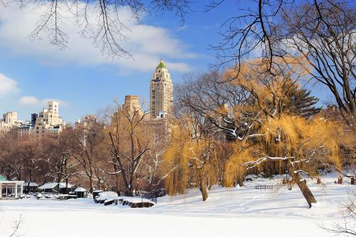 Silvester v New Yorku