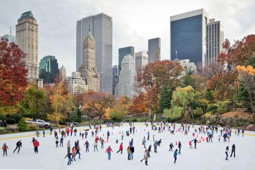 Silvester v New Yorku