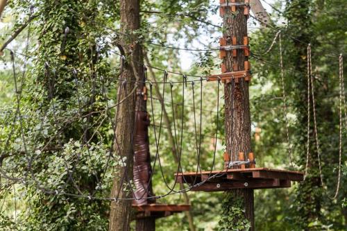 Tarzaniáda v areáli hotela Pod Lipou Resort