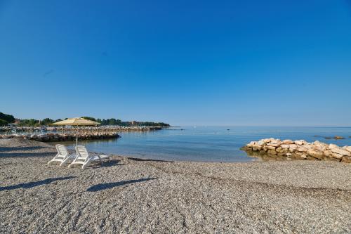 Apartmány Amfora Plava Laguna