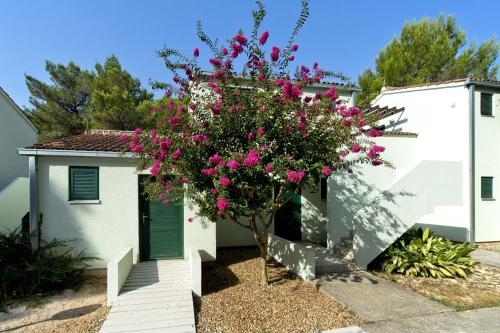 Apartmány a štúdiá Zaton Holiday Resort 3