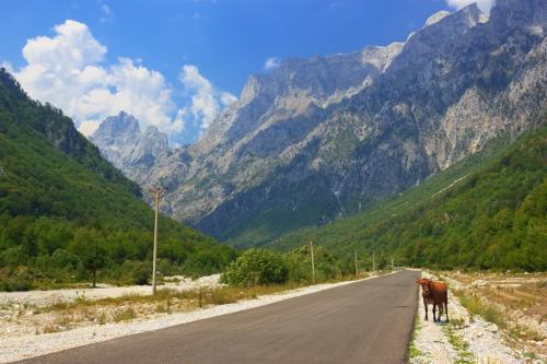 Albánsko -  cesta 