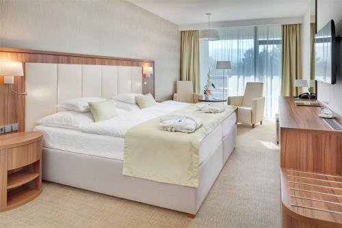 Izba v hoteli Danubius Health Spa Resort Esplanade