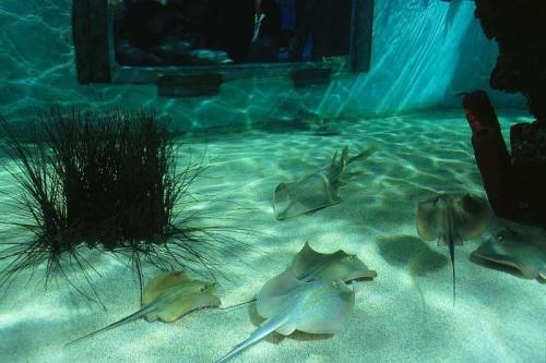 Tropikárium Budapešť, poznávací zájazd