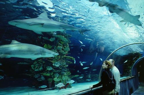 Tropikárium Budapešť, poznávací zájazd