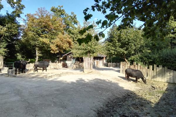 Schönbrunn Zoo a Zámok - 