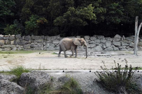 Schönbrunn Zoo a Zámok, poznávací zájazd