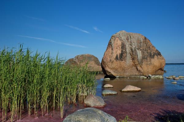 Tallinn - perla Pobaltia, poznávací zájazd