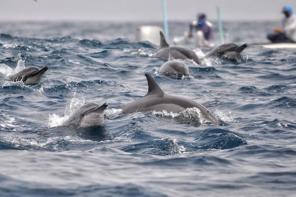 Omán - poklady severu a tropický raj v Salalah