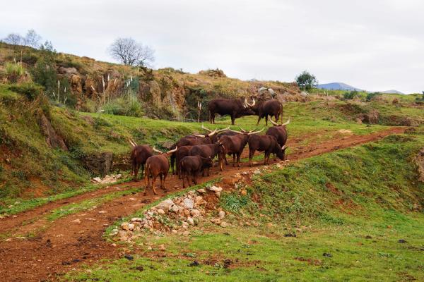 Santander - najkrajšia nevesta mora