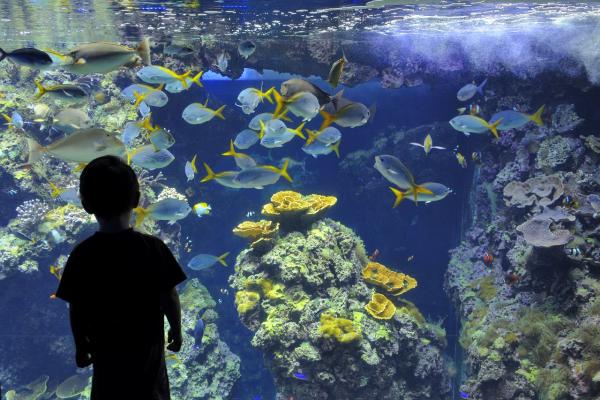 Atúrové pobrežie - Budget Friendly