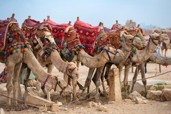 egypt luxusna plavba