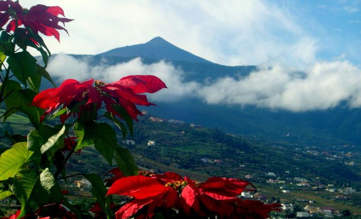 Tenerife - Klenot Kanárskych ostrovov