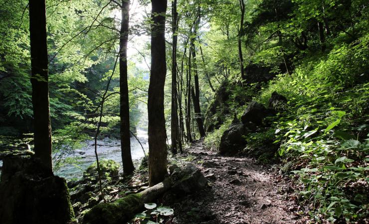 Otschergraben, poznávací zájazd, Rakúsko