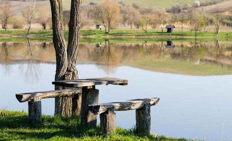 Levanduľový festival, poznávací zájazd