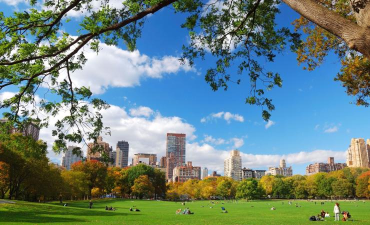 Central park v New Yorku