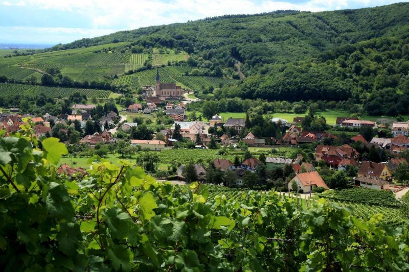 Champagne, Francúzsko