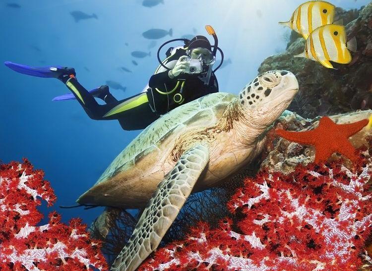 Miesto, kde na vás práve teraz čaká exotika za super ceny, 5* služby a skvelý all inclusive