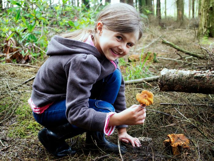 Máme pre vás tipy na parádny hubársky zber