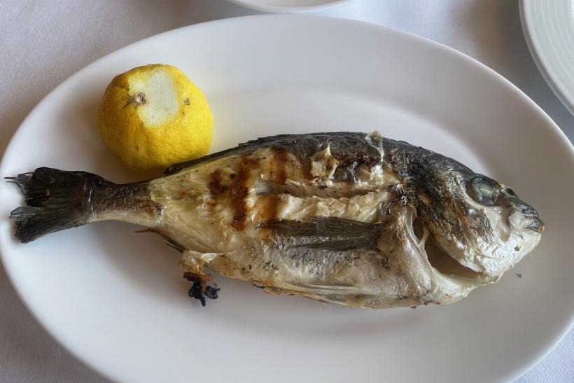 Grilovaná ryba na tanieri.