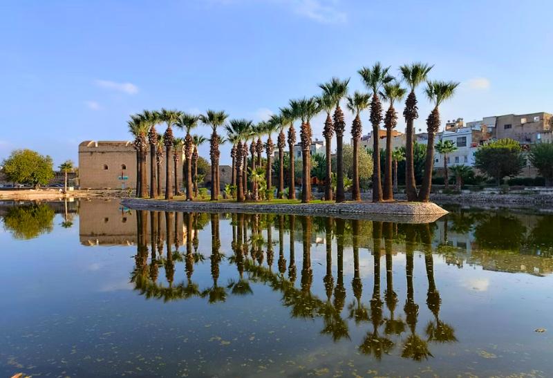 Jazero s palmami a mesto Fez v Maroku.
