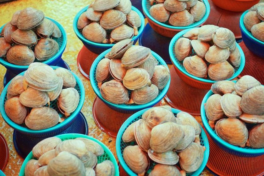 Jagalschi, Južná Kórea