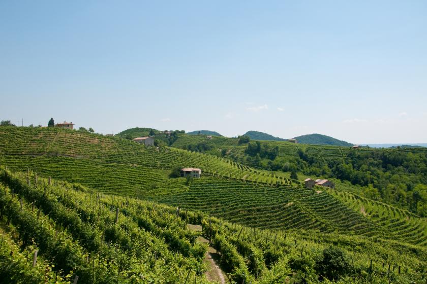Valdobbiadene