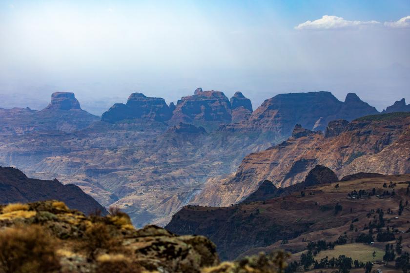 Simien