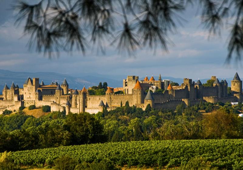 Zelené pole, stromy a hrad Carcassone, Francúzsko. Foto: unsplash.com