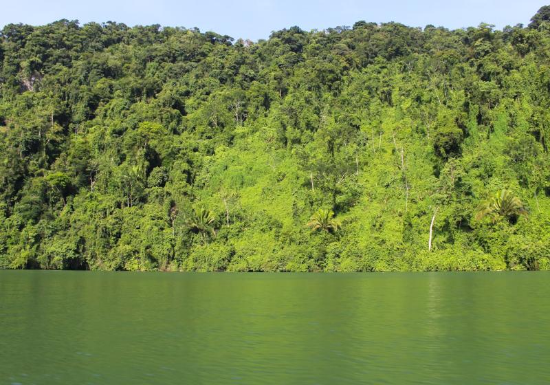 Rieka Rio Dulce. Guatemala. Foto: unsplash.com