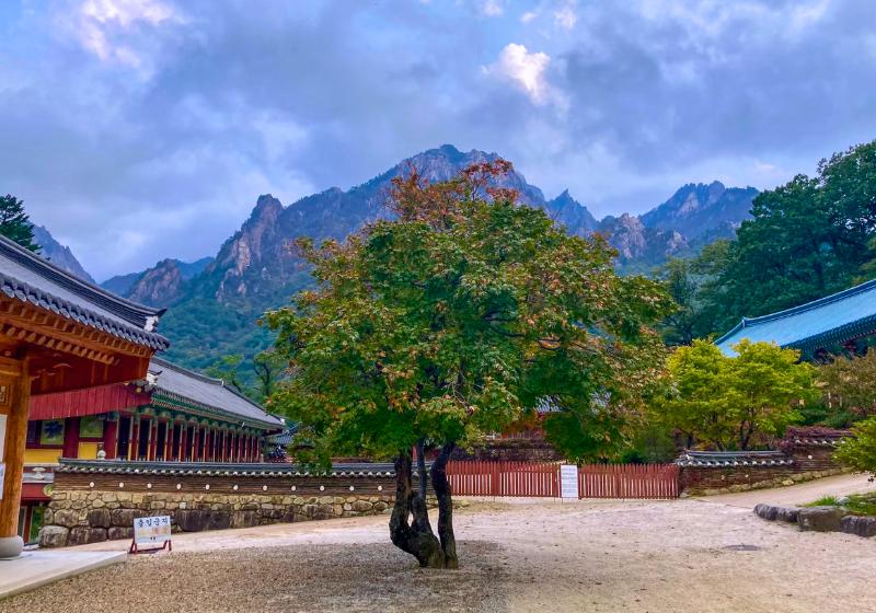 Hory, červená budova a strom. Sokcho. Južná Kórea. Foto: unspalsh.com