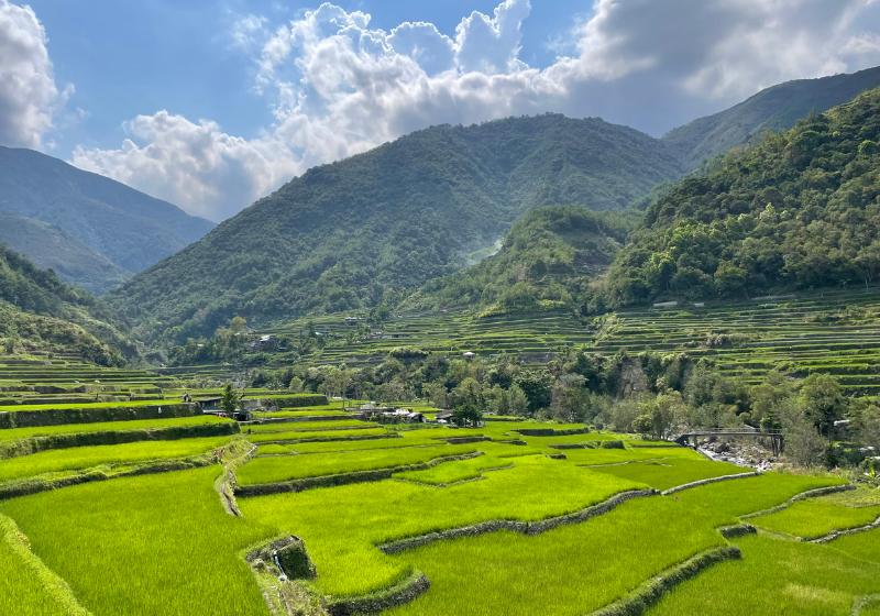 Zelené ryžové terasy a hory v pozadí v Banaue. Filipíny. Foto: unsplash.com