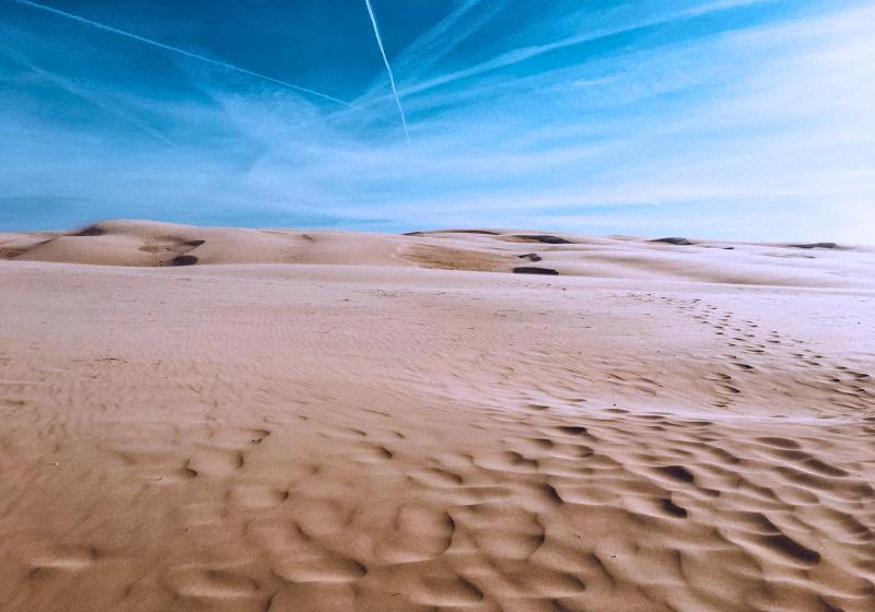 Pieskové duny a modré nebo. Dánsko. Foto: unsplash.com