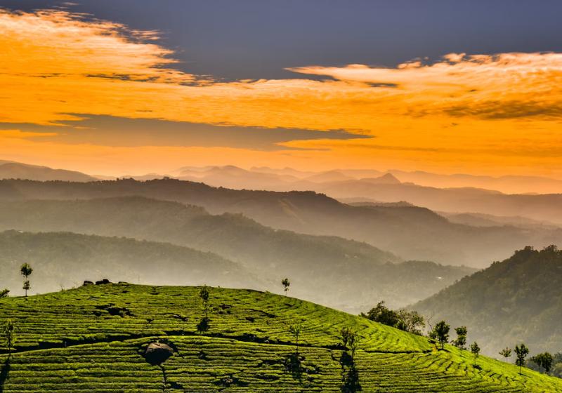 Zelené svahy a oranžové nebo v časti Munnar, India