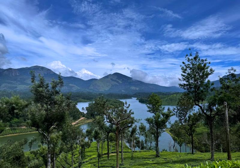 Zelený kopec, stromy, jazero a vysoké hory v pozadí počas dňa.