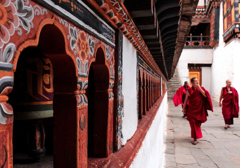 Mesto Paro a mnísi. Bután.