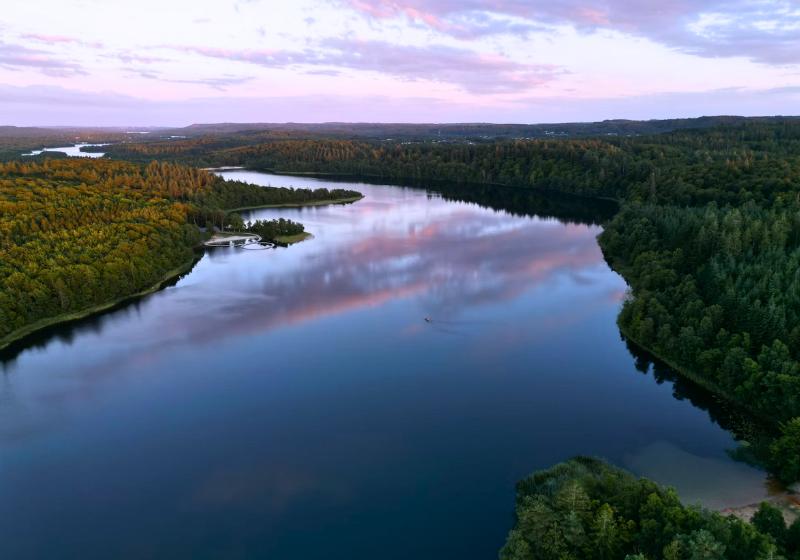 Modré jazero a okolité stromy v Silkeborgu. Dánsko. Foto: unsplash.com