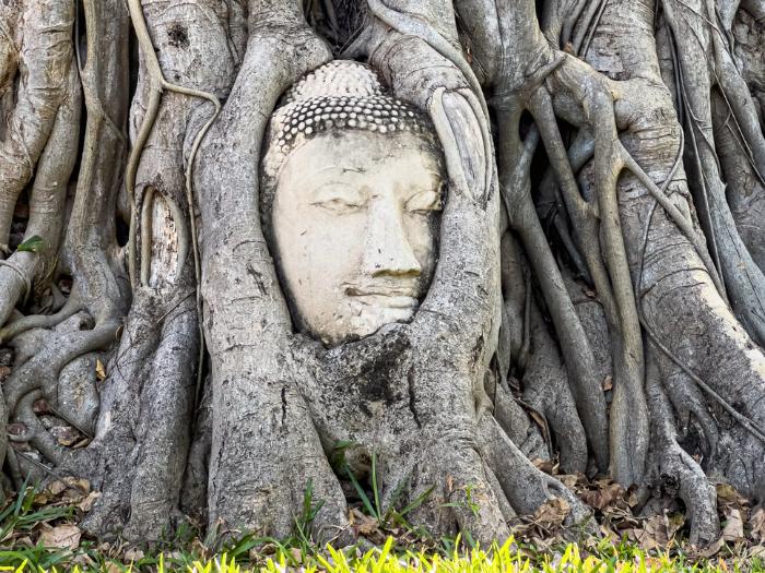 kamenná socha - hlava Budhu v Ayuttaya. Thajsko. Foto: unsplash.com